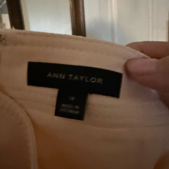 Ann Taylor Blush Button-Accent Skirt - Picture 3 of 3